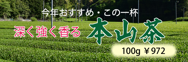今年お勧めのとても香りの良い本山茶