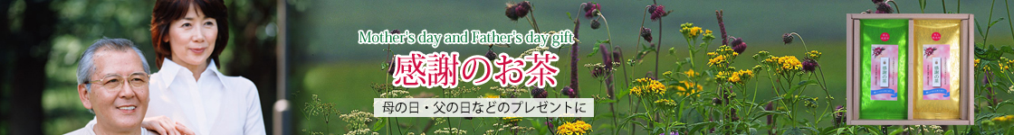 母の日・父の日のプレゼントに美味しい静岡園のお茶を