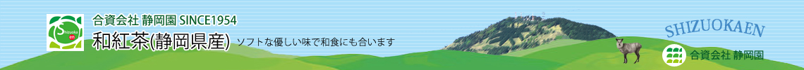 おちゃめは水出し煎茶で使用出来ます