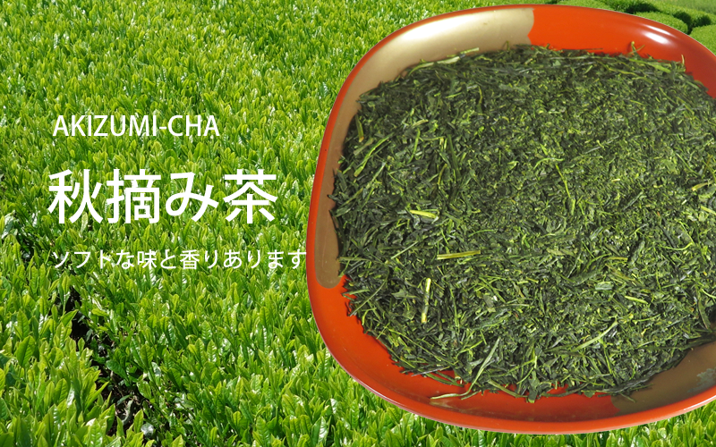 魅力的なかぶせ茶