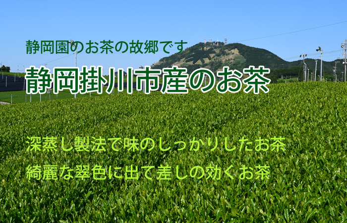 静岡園の仕入れ産地の静岡県掛川市