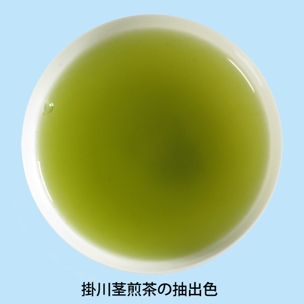 掛川茎煎茶の抽出色