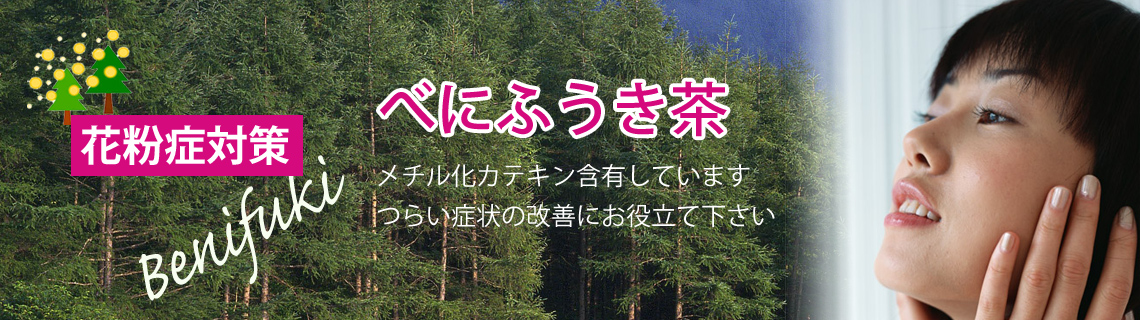 花粉症にべにふうき茶を