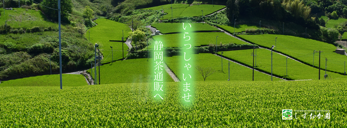 いらっしゃいませ掛川深蒸し茶の通販です。