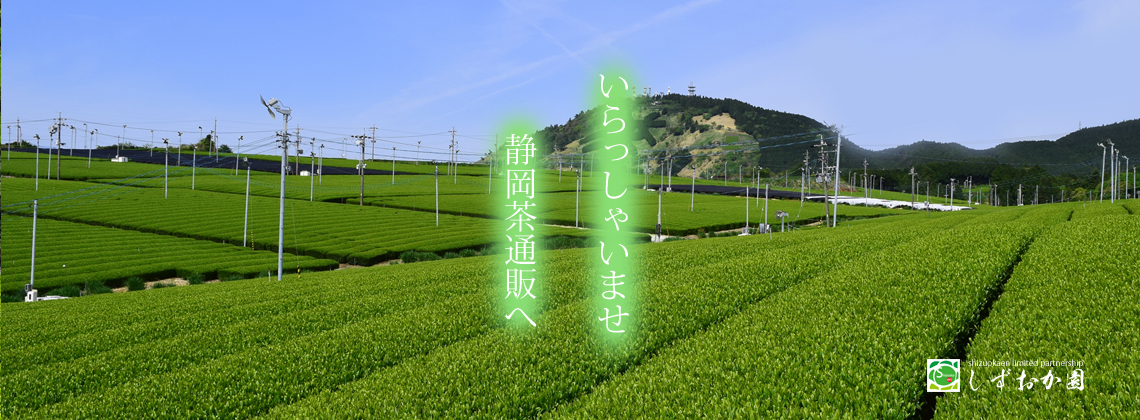 いらっしゃいませ掛川深蒸し茶の通販です。