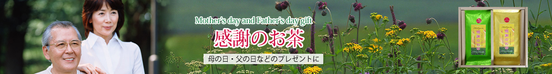 母の日・父の日のプレゼントに美味しい静岡園のお茶を