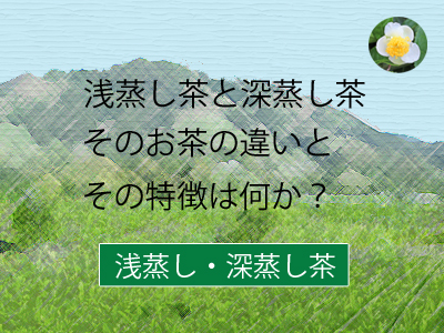 浅蒸し茶と深蒸し茶の違い